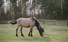 Osada Popowo Zajazd Jan